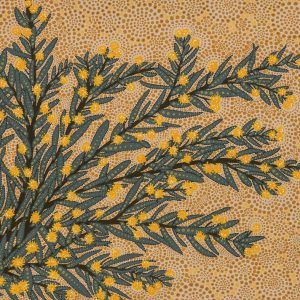Mega Wattle Smile