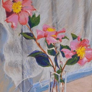 Camillias