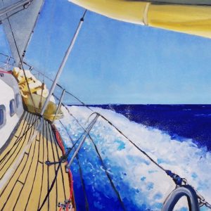 North to the Whitsundays