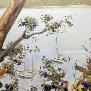 View from Barrenjoey Track