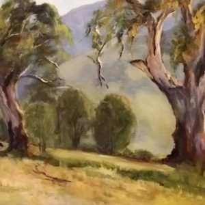 Gum Trees
