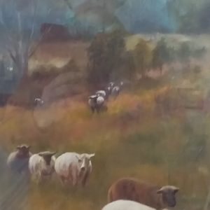 Sheep