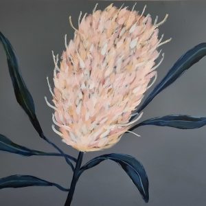 Grevillea
