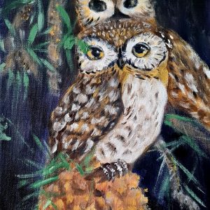 Owls