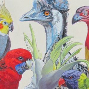 Native Birds