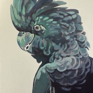 Black Cockatoo
