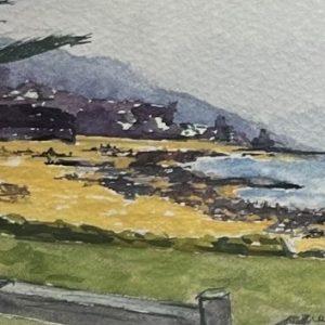 Austinmer Beach